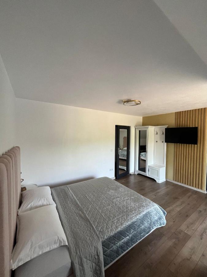 Hotel Casa Boila Bîrsana Zewnętrze zdjęcie