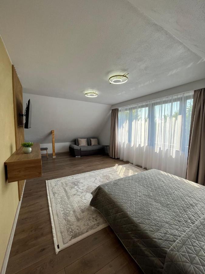Hotel Casa Boila Bîrsana Zewnętrze zdjęcie