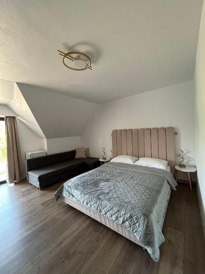 Hotel Casa Boila Bîrsana Zewnętrze zdjęcie