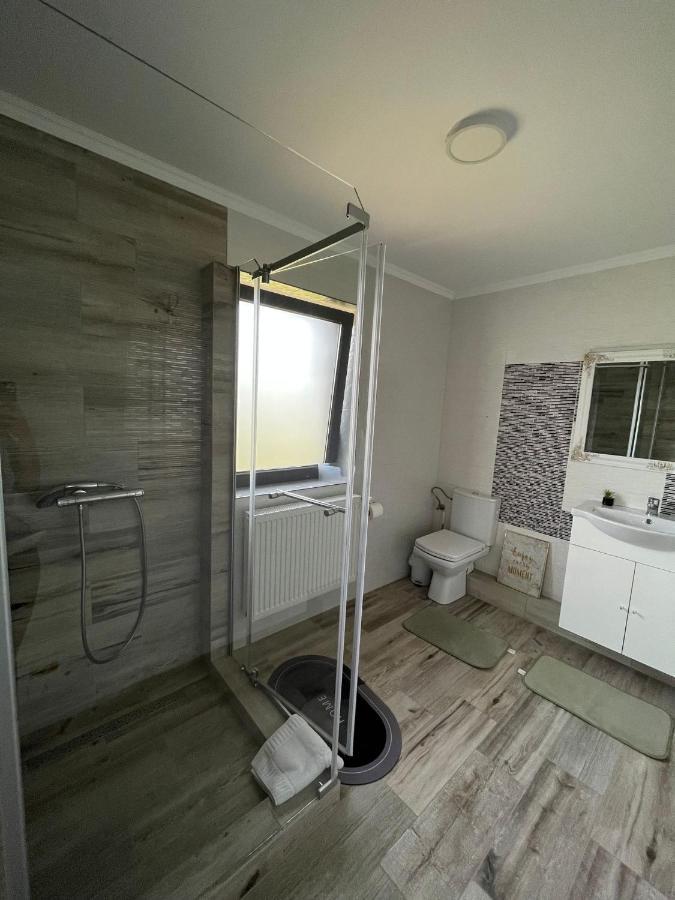Hotel Casa Boila Bîrsana Zewnętrze zdjęcie