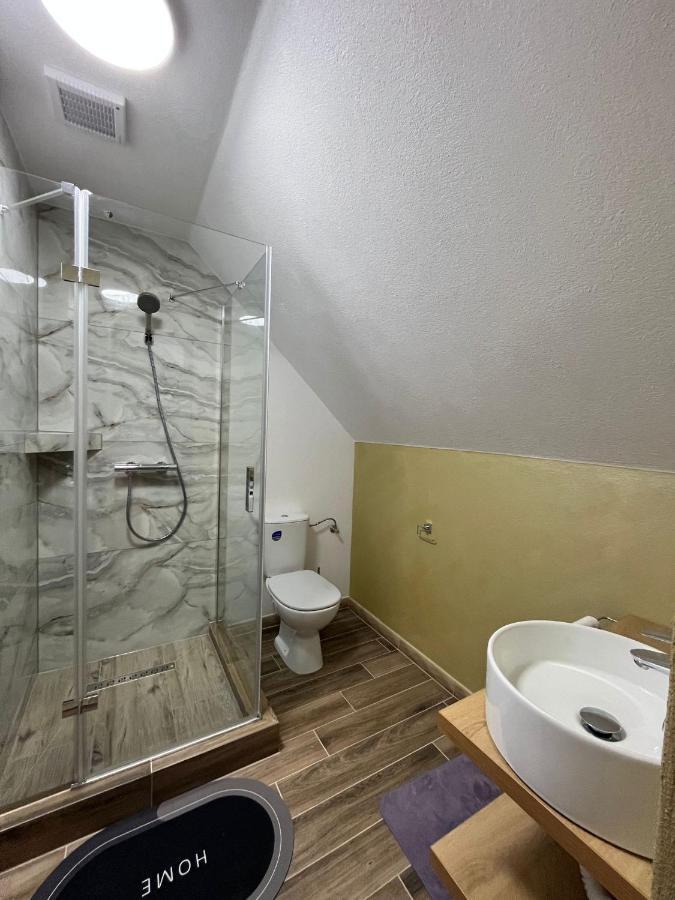 Hotel Casa Boila Bîrsana Zewnętrze zdjęcie