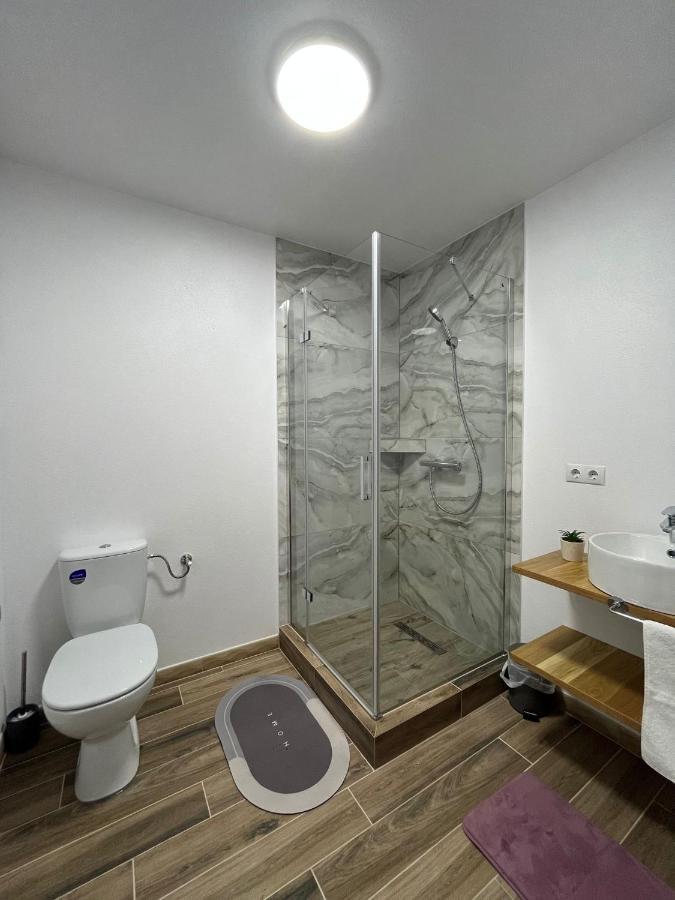 Hotel Casa Boila Bîrsana Zewnętrze zdjęcie